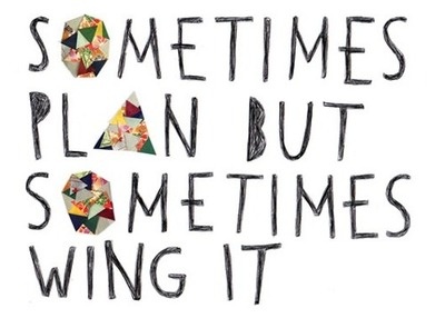 sometimes plan sometimes wing it